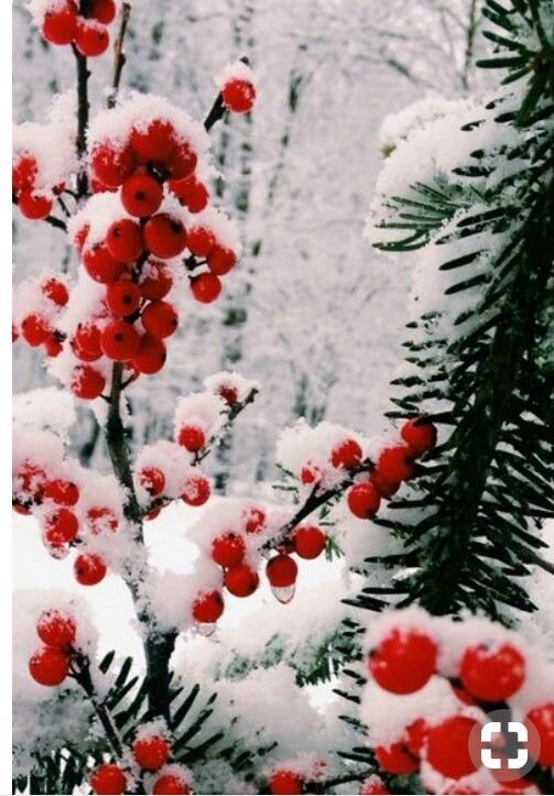 Зимнее настроение