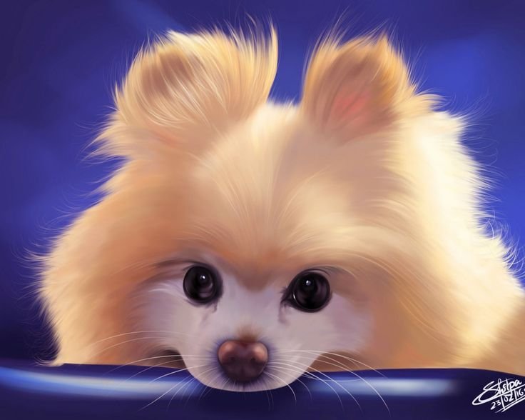 Красивые и милые животные