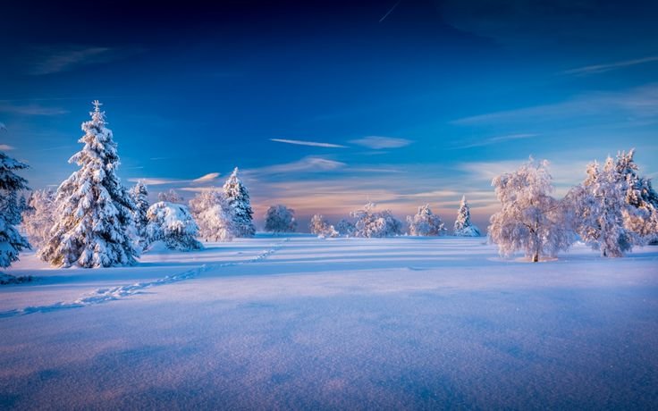 Новогодний пейзаж