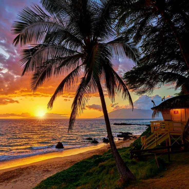 Гавайи закат пальмы океан