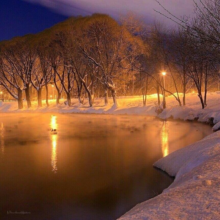 Зимний Вечерний парк