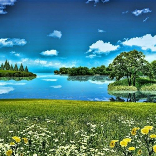 Летний пейзаж