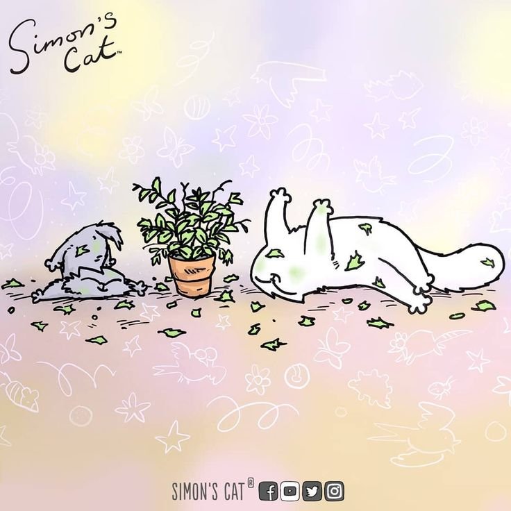 Саймон цветной