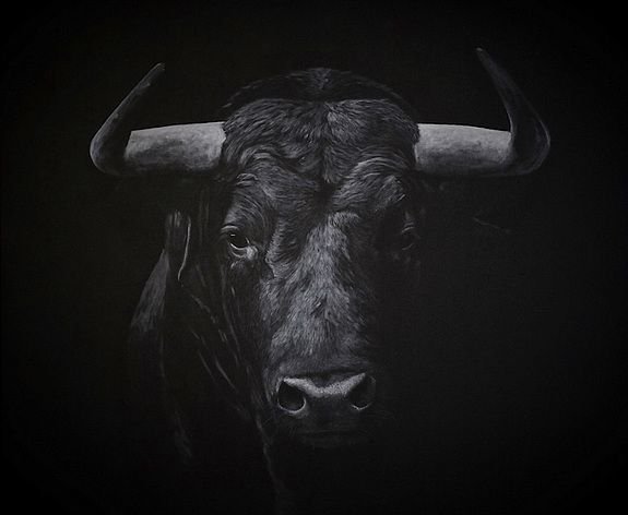 Бык на черном фоне