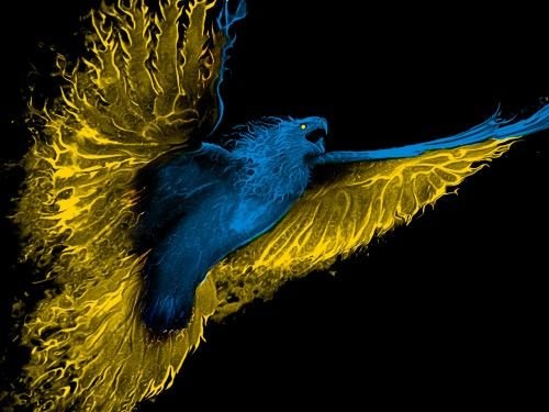 Жёлто-синий орёл