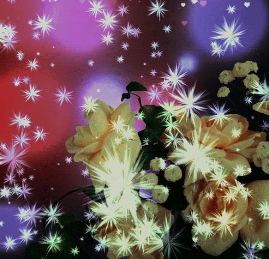 Цветы мерцание