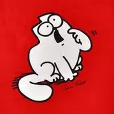 Кот Саймона цветной