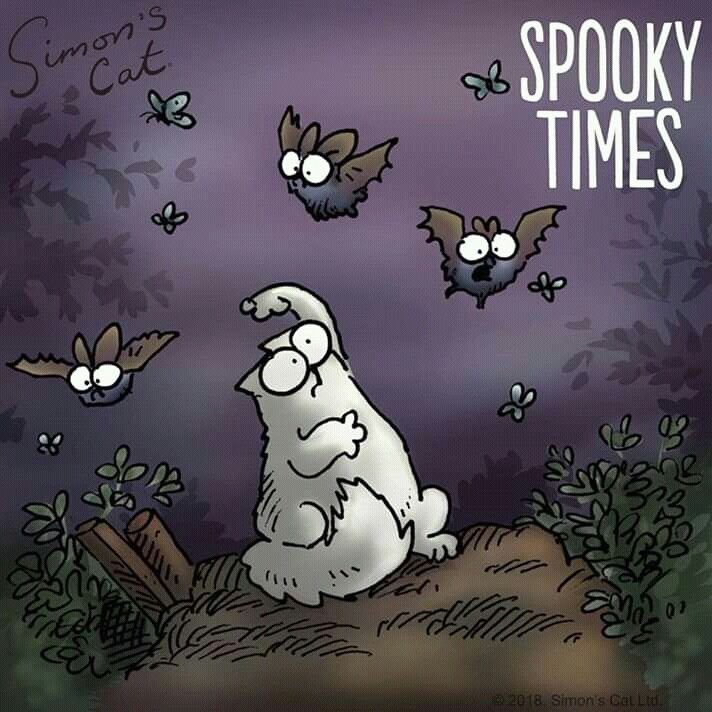 Кот Саймона обои