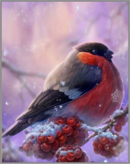 Снегири на ветке