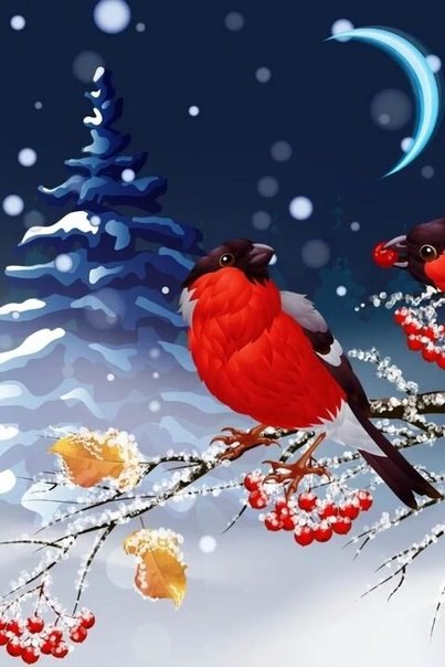 Заставка Снегири