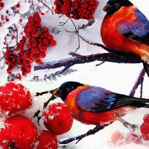 Снегири на ветке