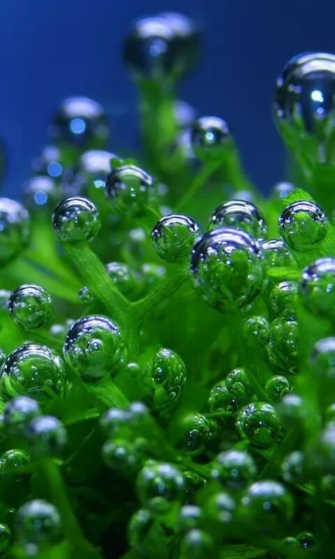 Фон для телефона высокого качества