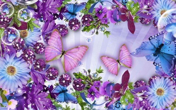 бабочки на цветах