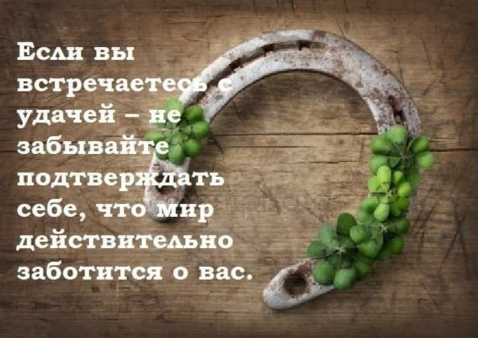 Четырехлистный Клевер с подковой