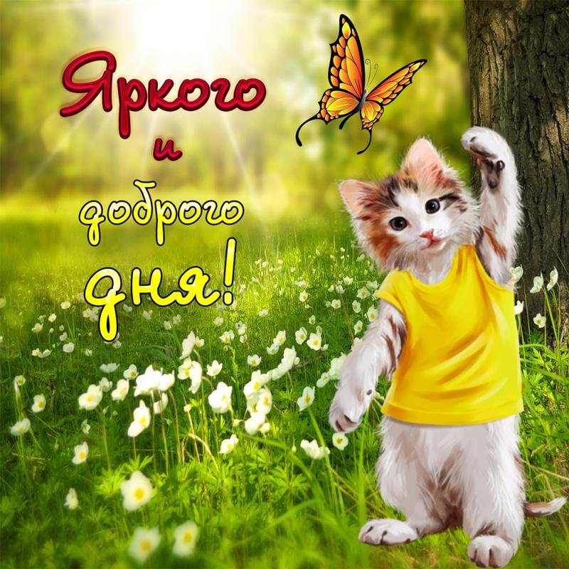 Доброго дня и хорошего настроения