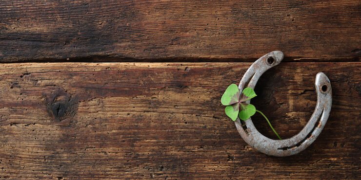 Подкова арт