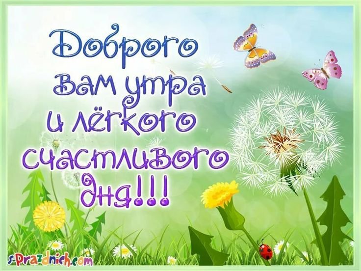 Открытка счастливого утра и дня