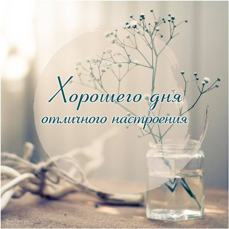 Хороший день