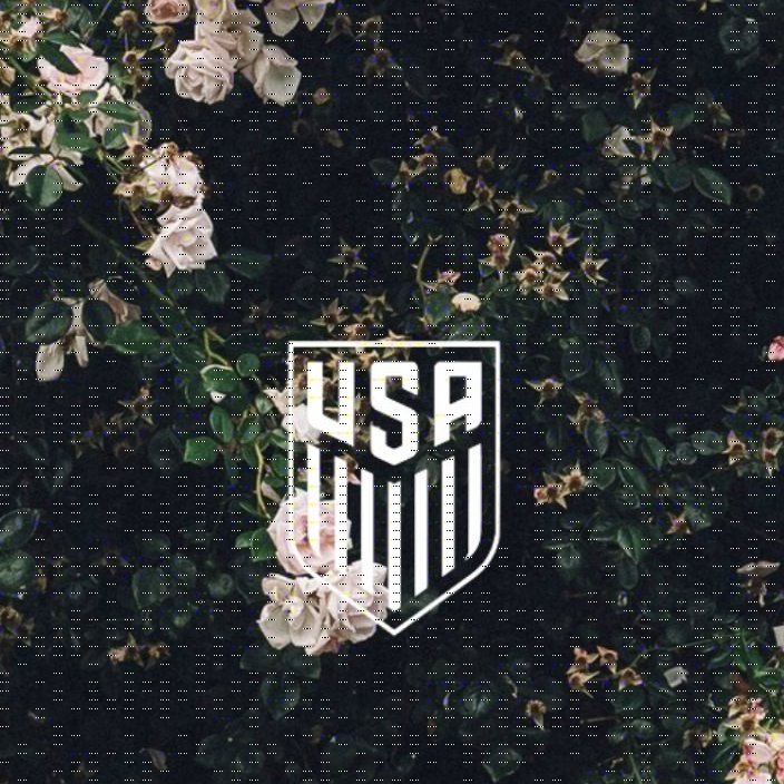 USA на телефон