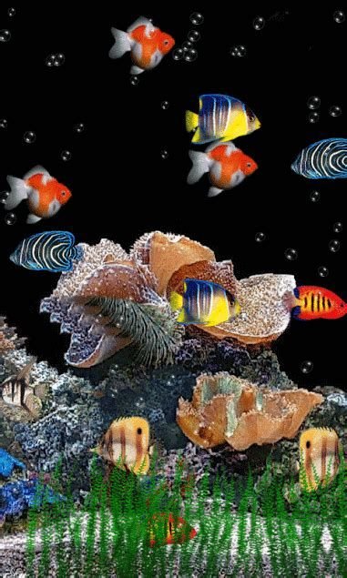 Движущиеся рыбки