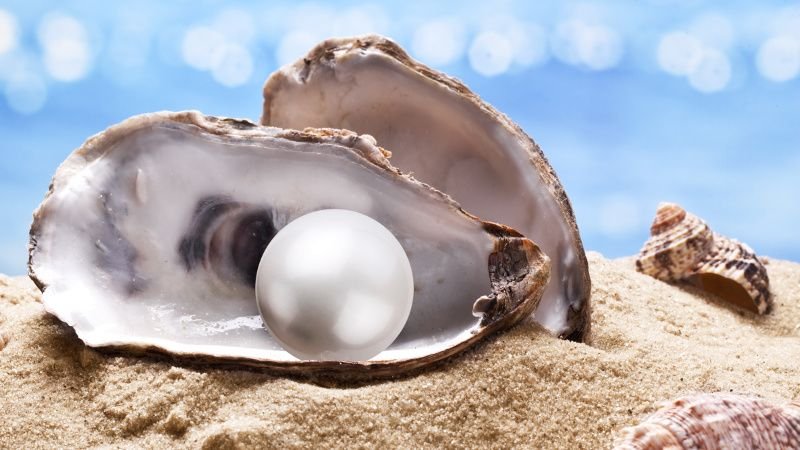 Европейская Жемчужница