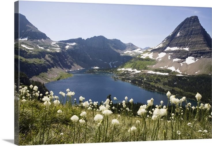 Монтана National Park Glacier
