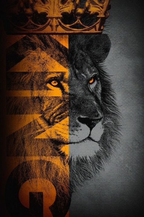 Лев на заставку