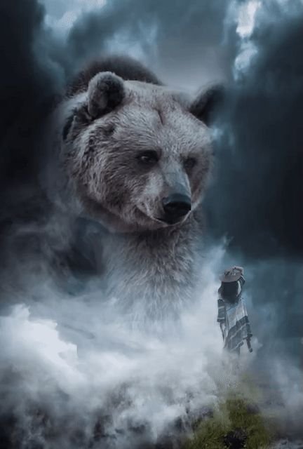 Медведь на заставку