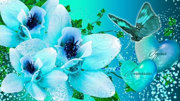 Картинки на рабочий стол бабочки