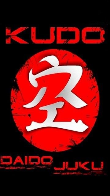 КУДО боевое искусство