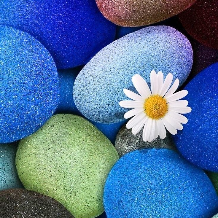 Фон на телефон красивые