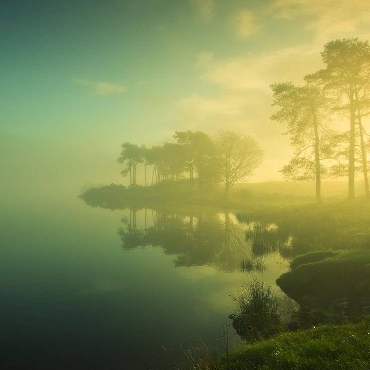 Умиротворяющий пейзаж