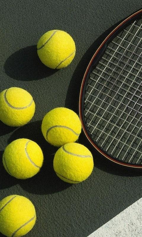 Теннисный корт обои