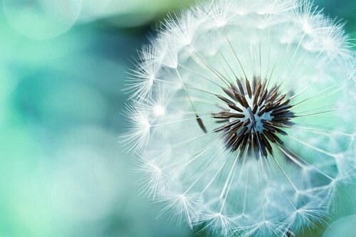 Экран VIEWSCREEN Breston EBR-16108