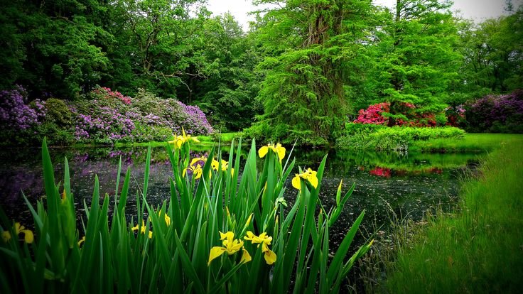 Красивый сад