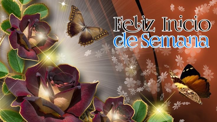 Картинки на рабочий стол бабочки