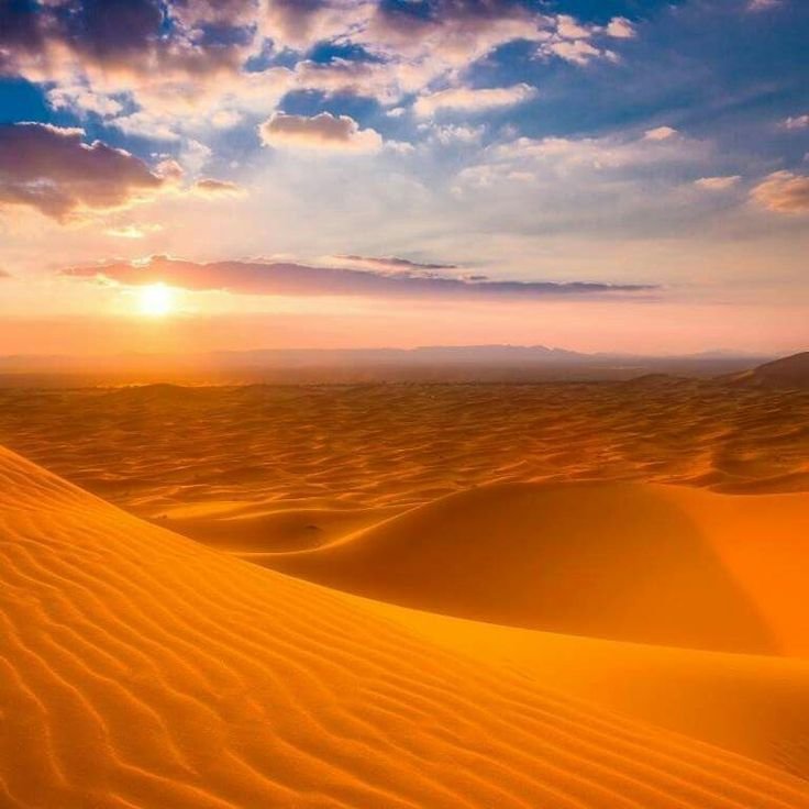 Пустыня сахара (Sahara Desert)