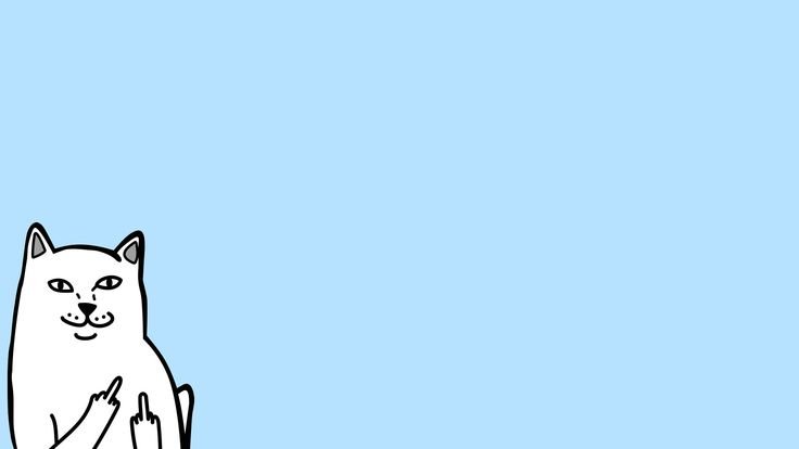 Котик Минимализм