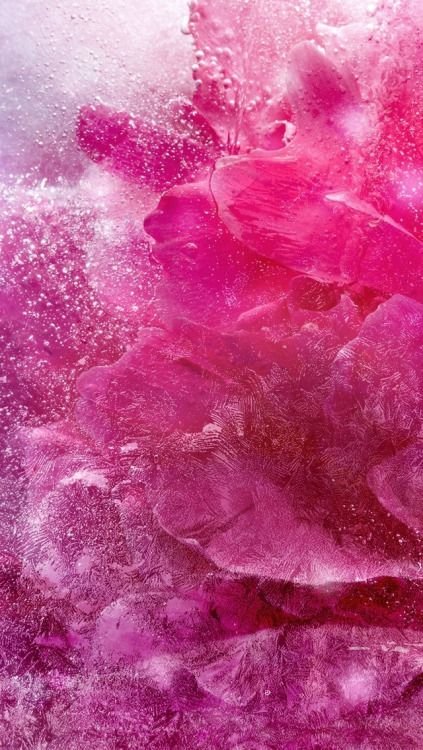 Яркий розовый цвет