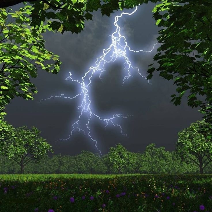 Молния в лесу