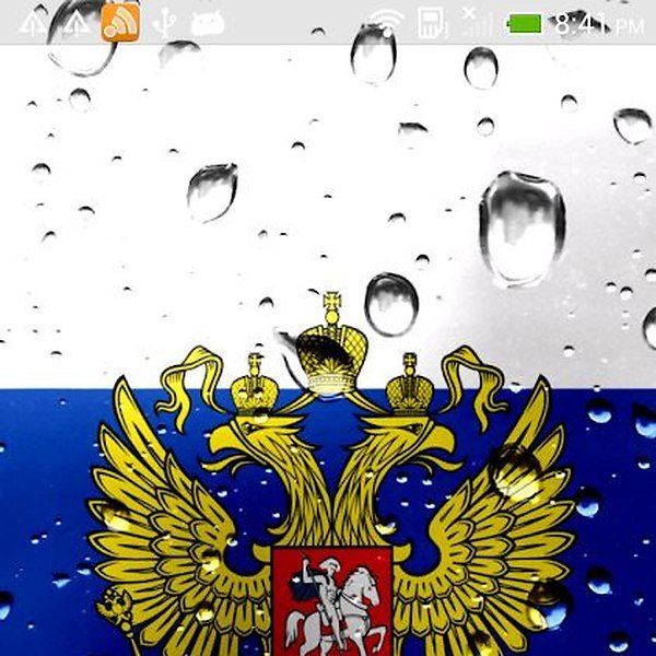 Российский флаг с гербом