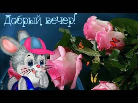 Стикеры добрый вечер