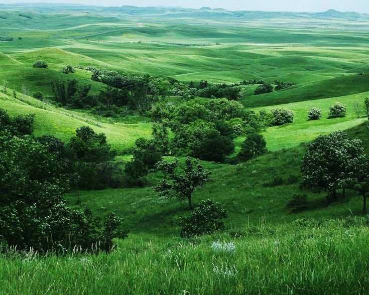 Зеленые холмы Краснодарский край