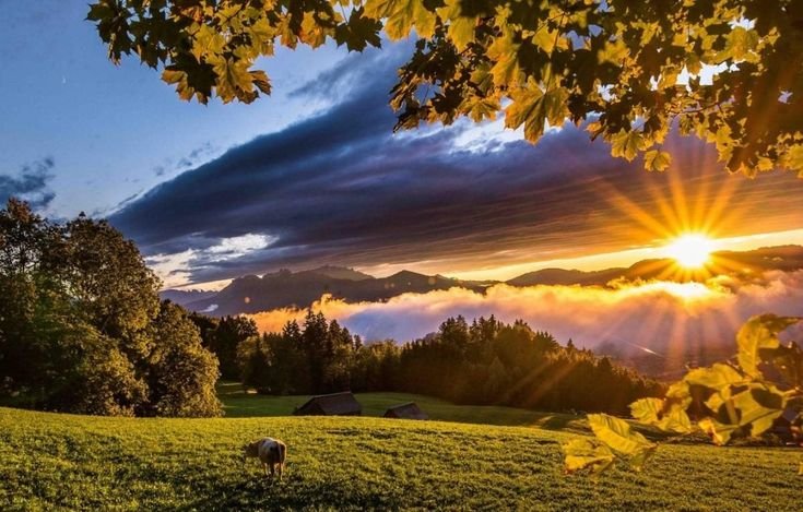 Природа солнце