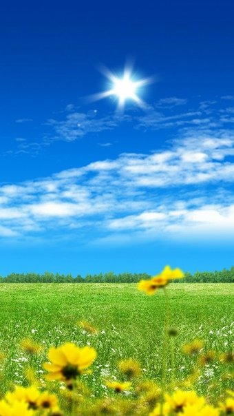 Лето природа