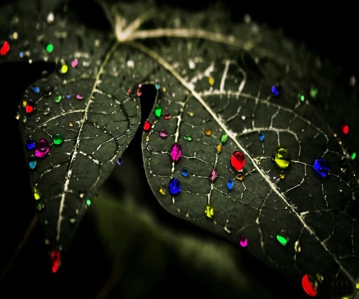 Абстракция листья