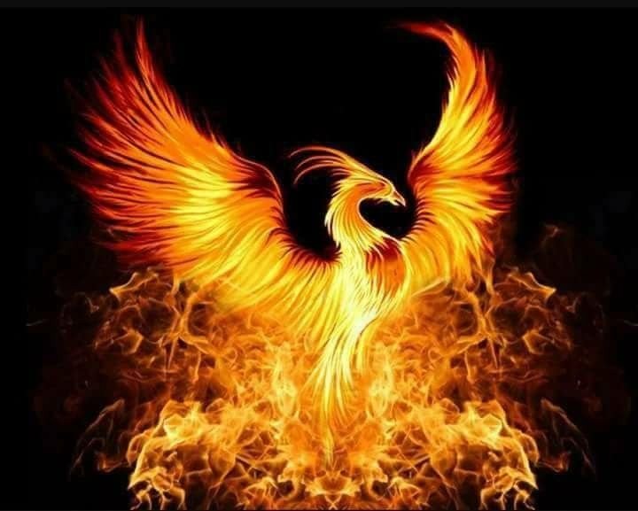 Птица Феникс Восставшая из пепла