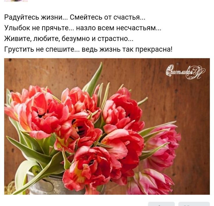 Пионообразные тюльпаны