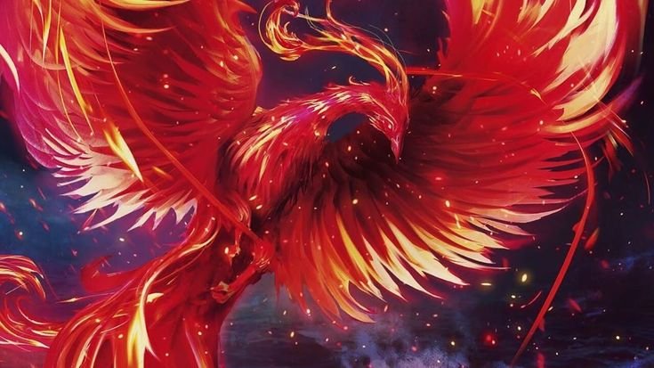 Красный Феникс дзаку