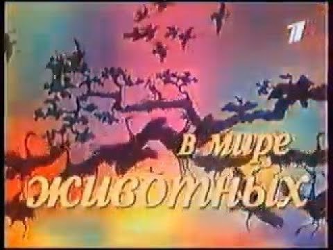 Заставка передачи в мире животных